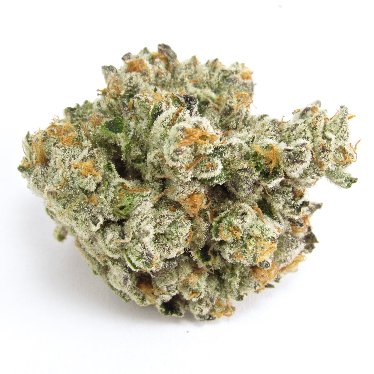 Gas Face marijuana strain flower with tar and chemical flavor and creative / relaxed effects - Rare Harvest hybrid