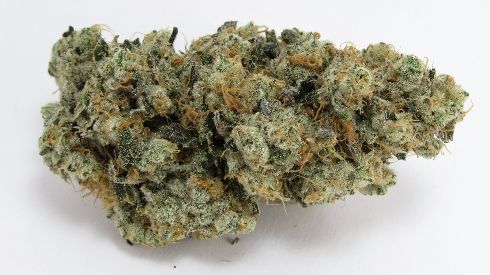 GMO-OG marijuana strain flower with diesel and skunk flavor and energetic / sleepy effects - Rare Harvest hybrid