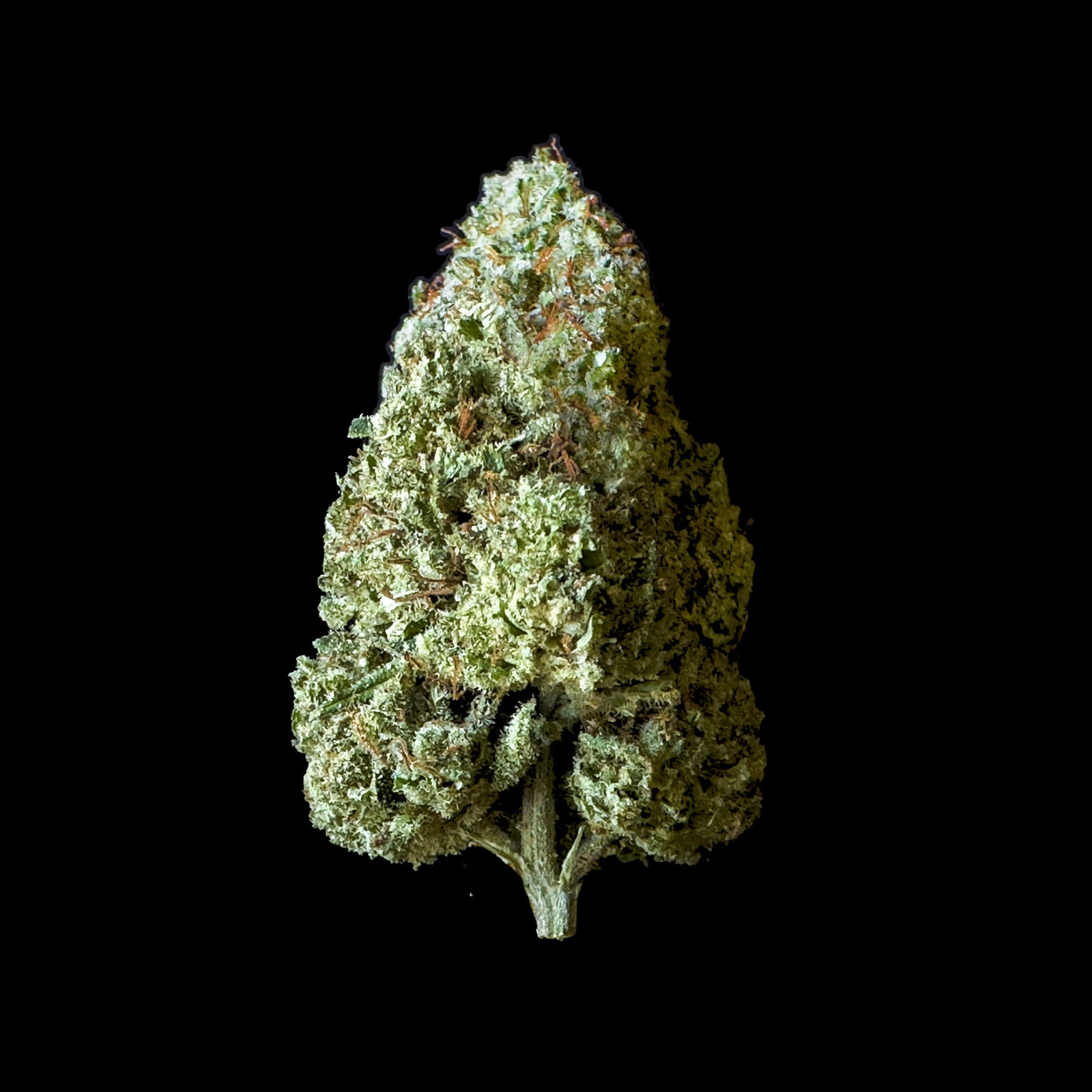 Drag Daddy marijuana strain flower - Rare Harvest hybrid