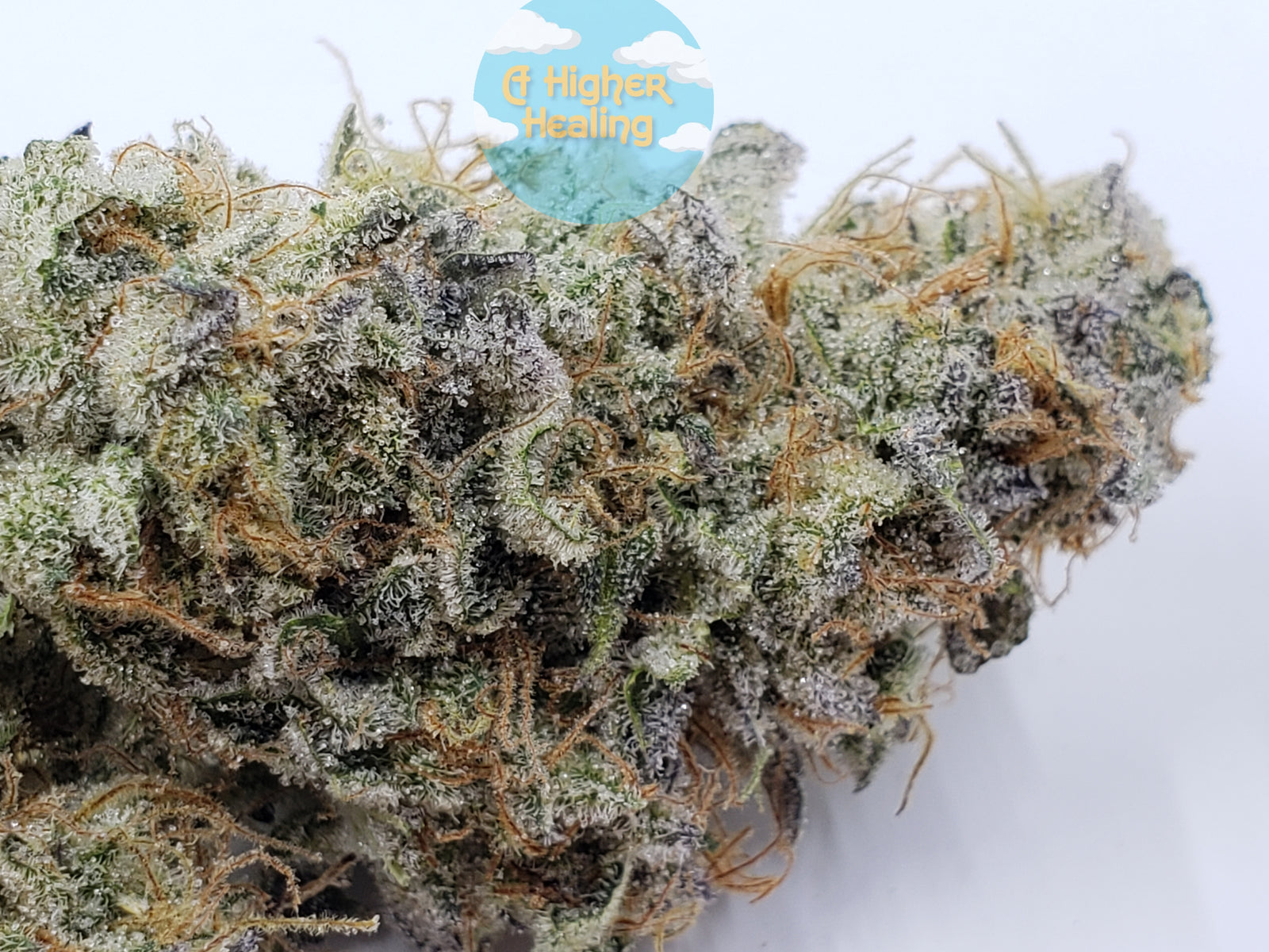 Blue Raspberry Breath marijuana strain flower with berry and mint flavor and energetic / creative effects - Rare Harvest hybrid