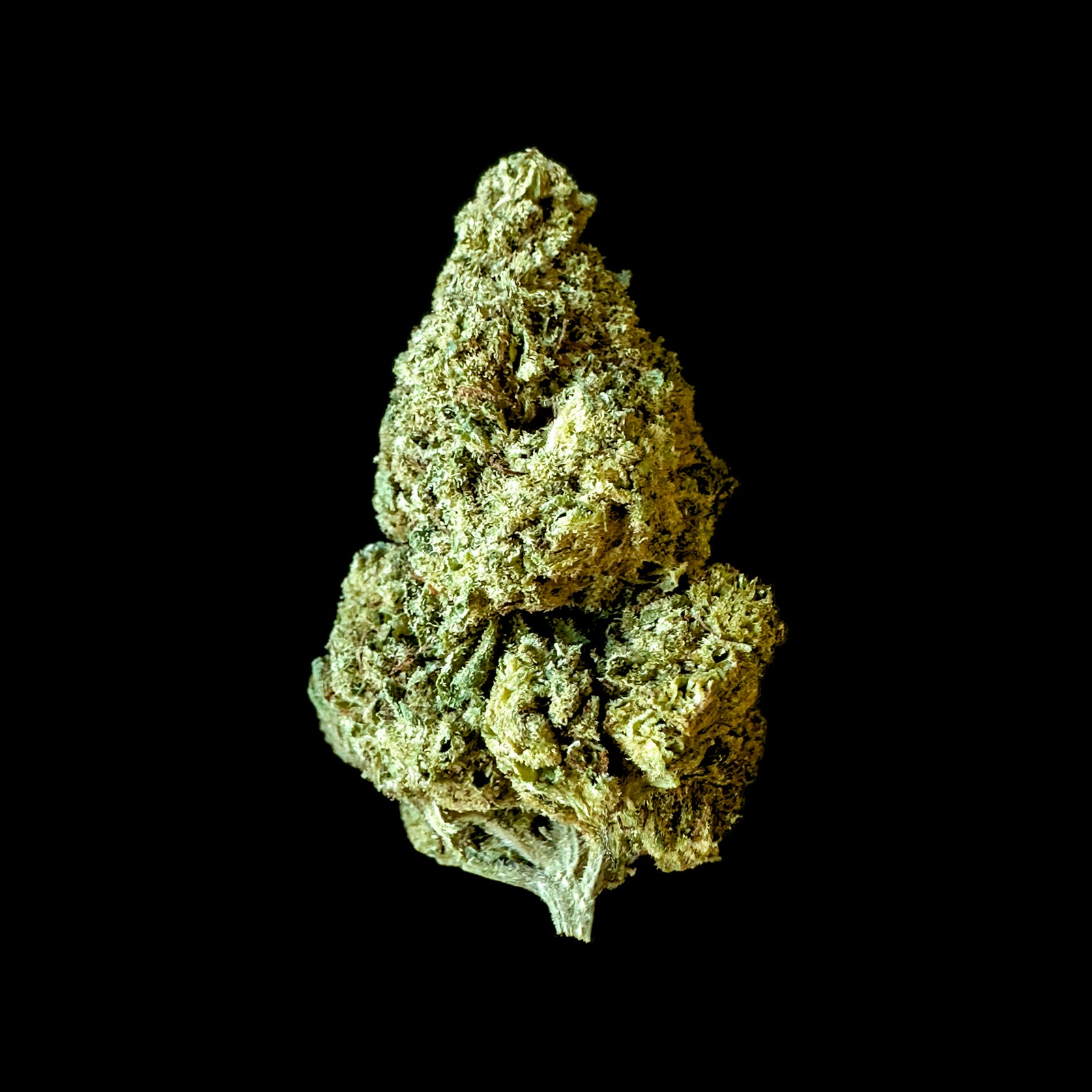 Honeymoon Cake marijuana strain flower with diesel and chemical flavor and energetic / creative effects - Rare Harvest hybrid