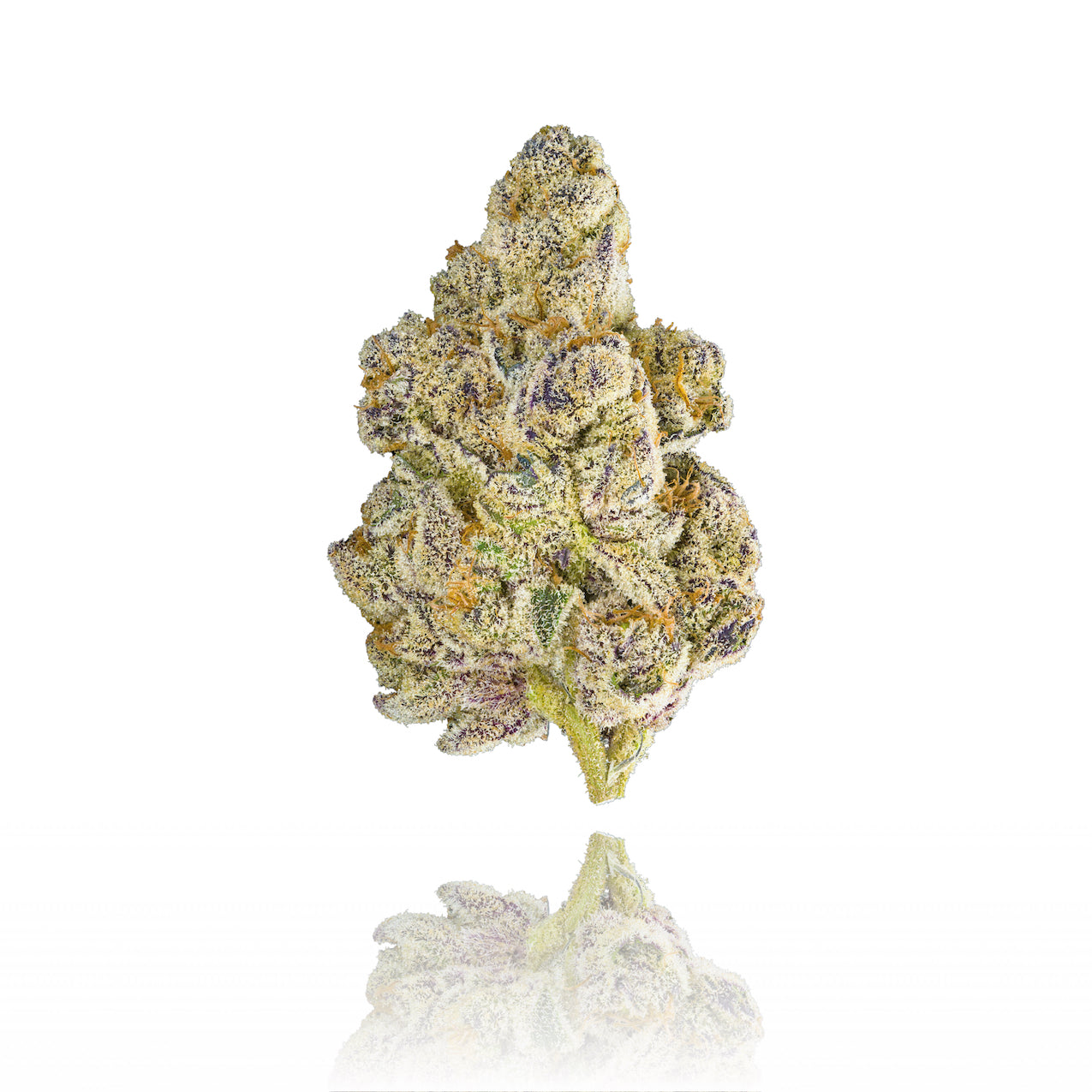 Honey Lemon Hibiscus marijuana strain flower with lemon and woody flavor and energetic / creative effects - Rare Harvest hybrid