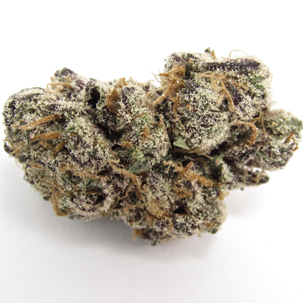 Coochie Runtz marijuana strain flower with apricot and chemical flavor and tingly / giggly effects - Rare Harvest hybrid