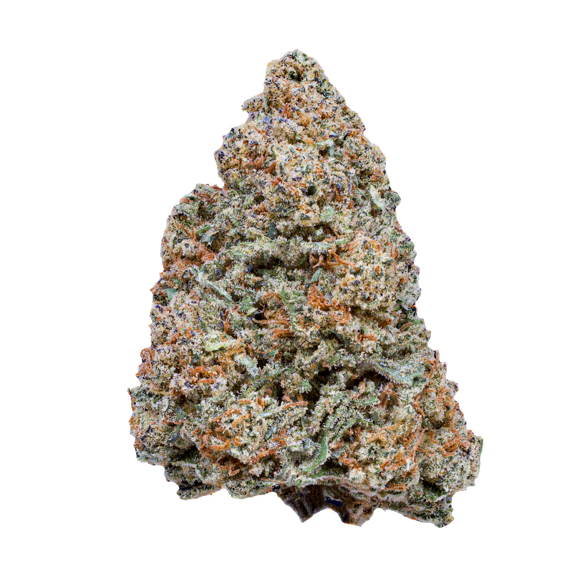 Mac 1 marijuana strain flower with butter and citrus flavor and uplifted / euphoric effects - Rare Harvest hybrid