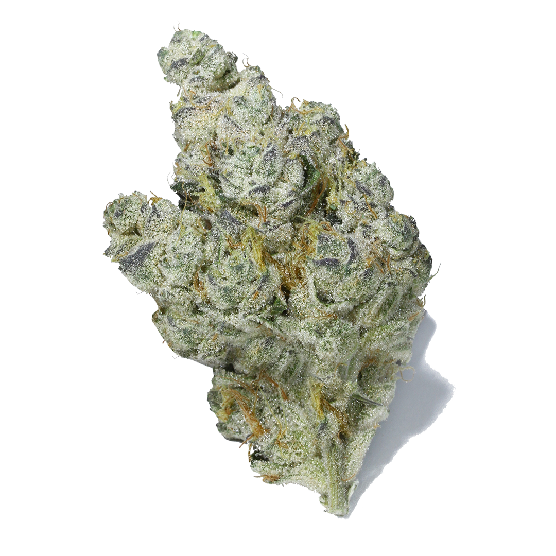 Brownie Scout marijuana strain flower with coffee and tar flavor and sleepy / relaxed effects - Rare Harvest indica