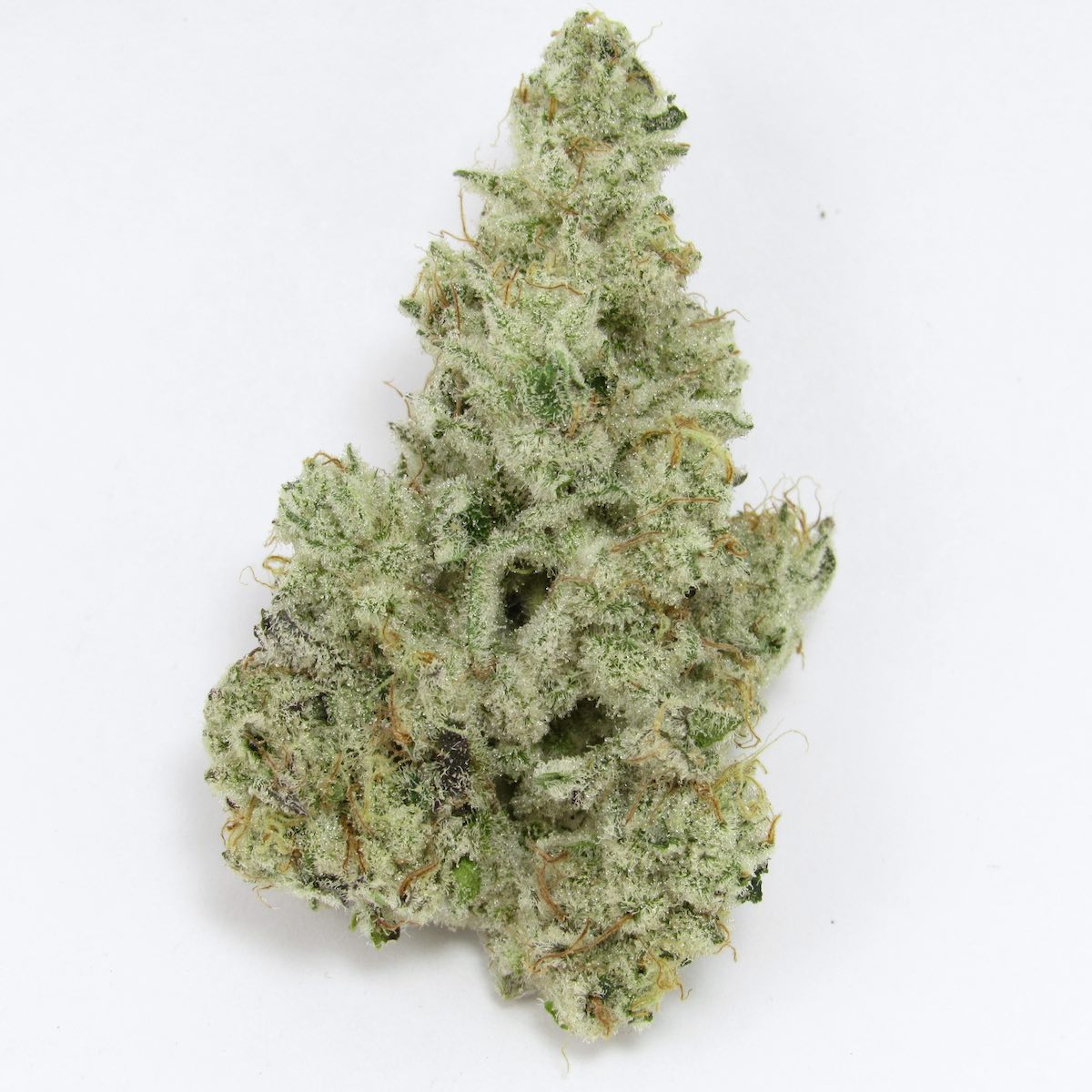 Cap Junky marijuana strain flower with apricot and menthol flavor and giggly / tingly effects - Rare Harvest hybrid