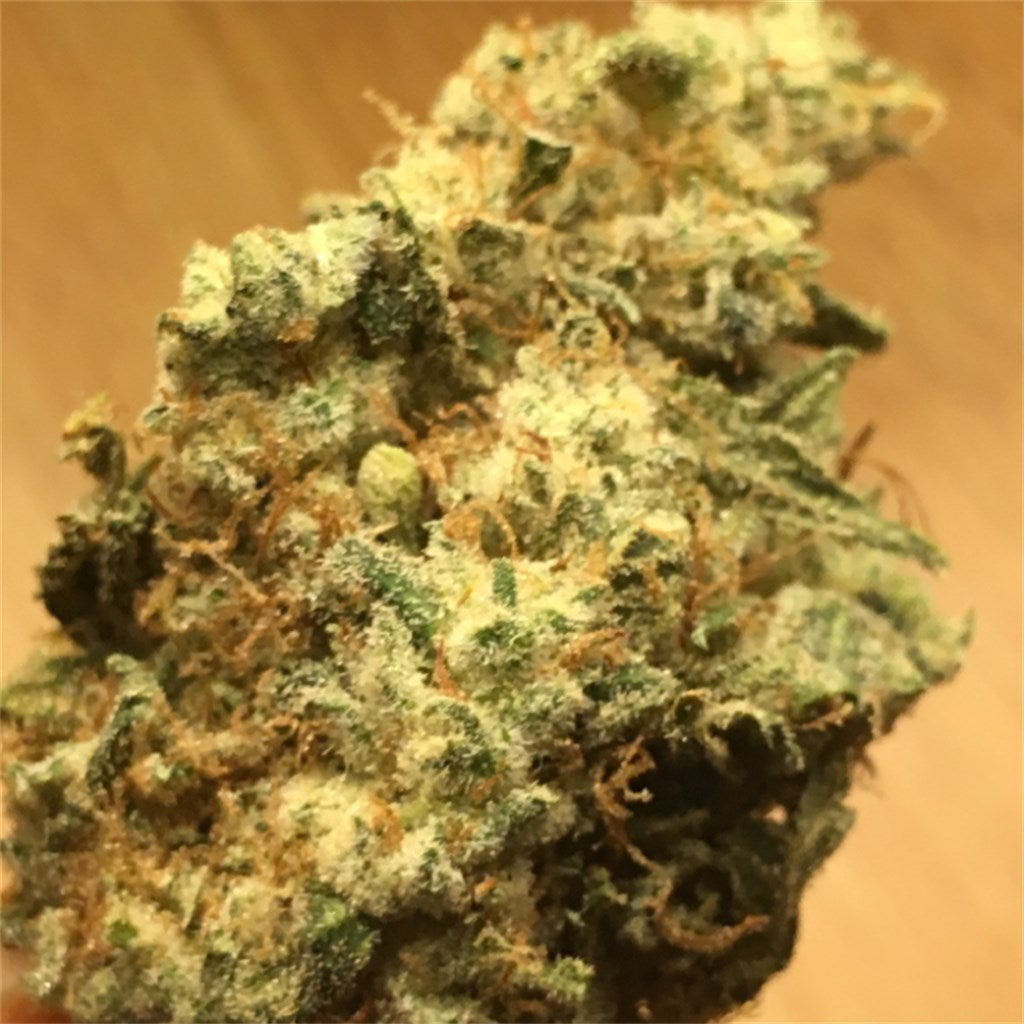 A-Dub marijuana strain flower with pepper and diesel flavor and euphoric / happy effects - Rare Harvest hybrid