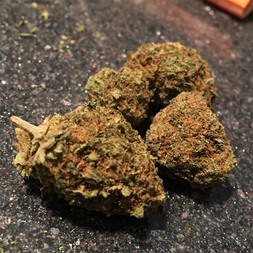 A-Train marijuana strain flower with ammonia and earthy flavor and aroused / giggly effects - Rare Harvest hybrid