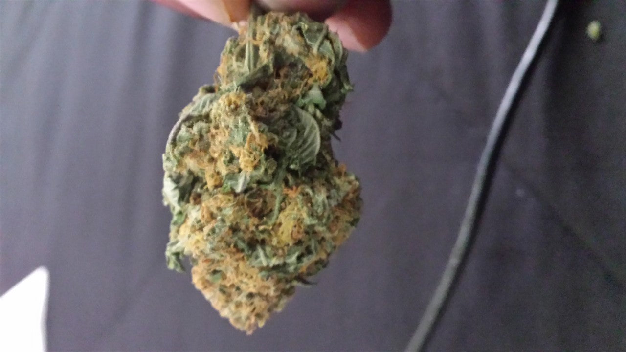 Aberdeen marijuana strain flower with blue cheese and chemical flavor and energetic / uplifted effects - Rare Harvest hybrid
