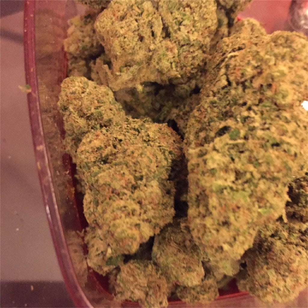 Afghan Cow marijuana strain flower with vanilla and diesel flavor and focused / energetic effects - Rare Harvest sativa