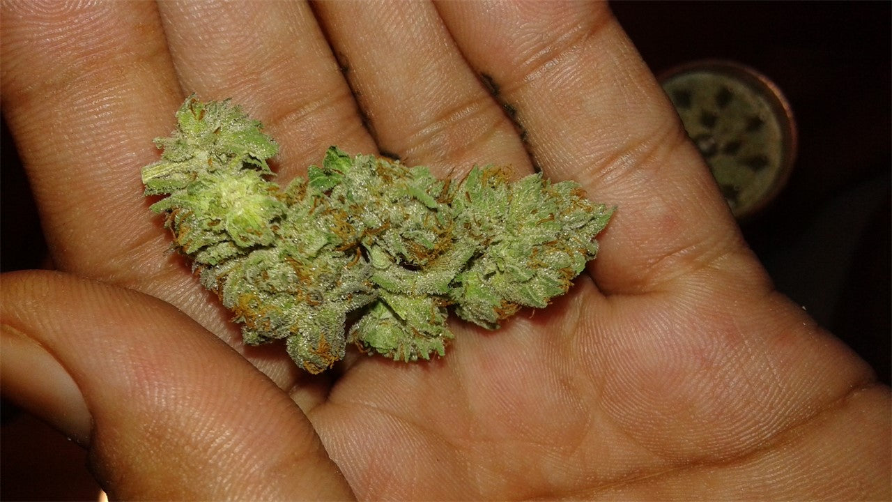 Afghan Hawaiian marijuana strain flower with pineapple and grape flavor and energetic / creative effects - Rare Harvest indica