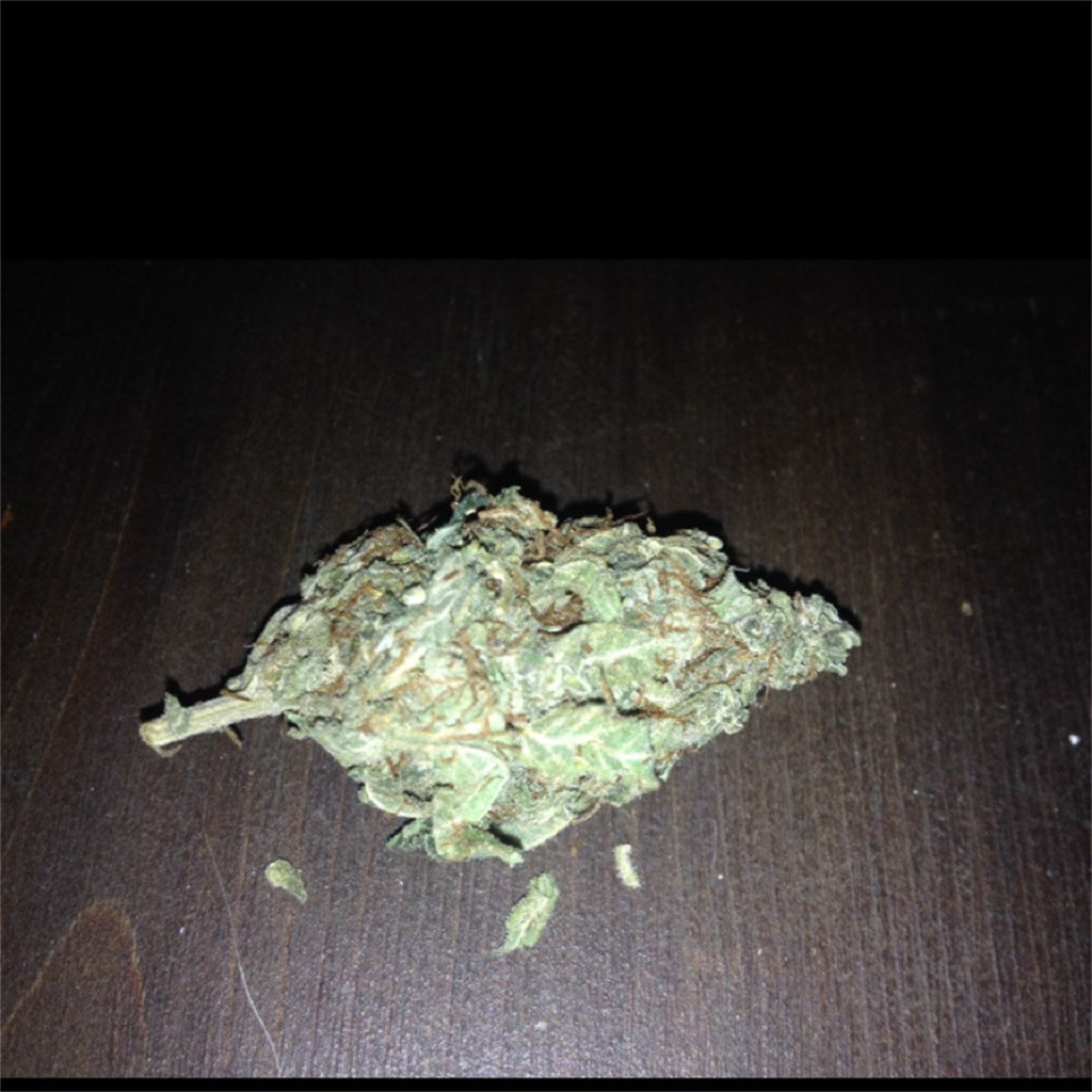 Afghan Kush marijuana strain flower with woody and earthy flavor and sleepy / hungry effects - Rare Harvest indica