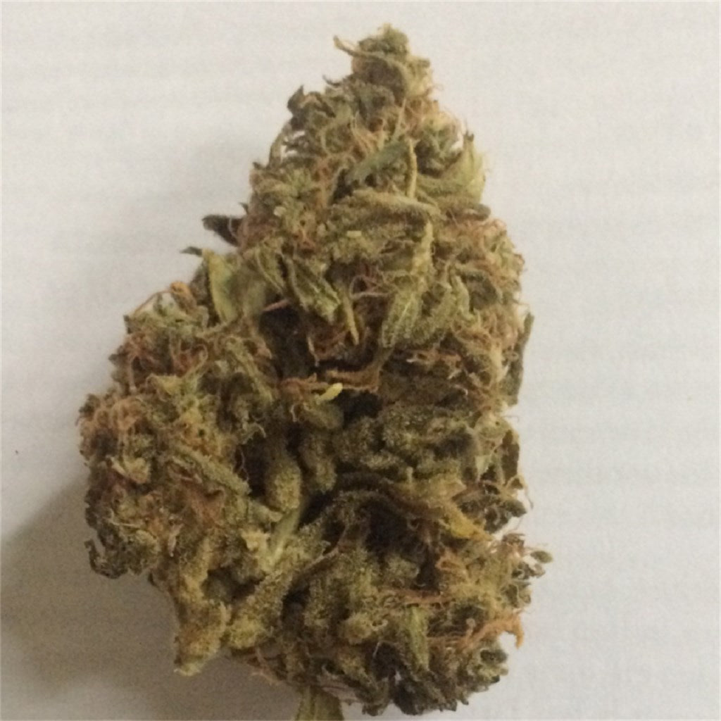 Afghani CBD marijuana strain flower with flowery and spicy/herbal flavor and sleepy / relaxed effects - Rare Harvest indica