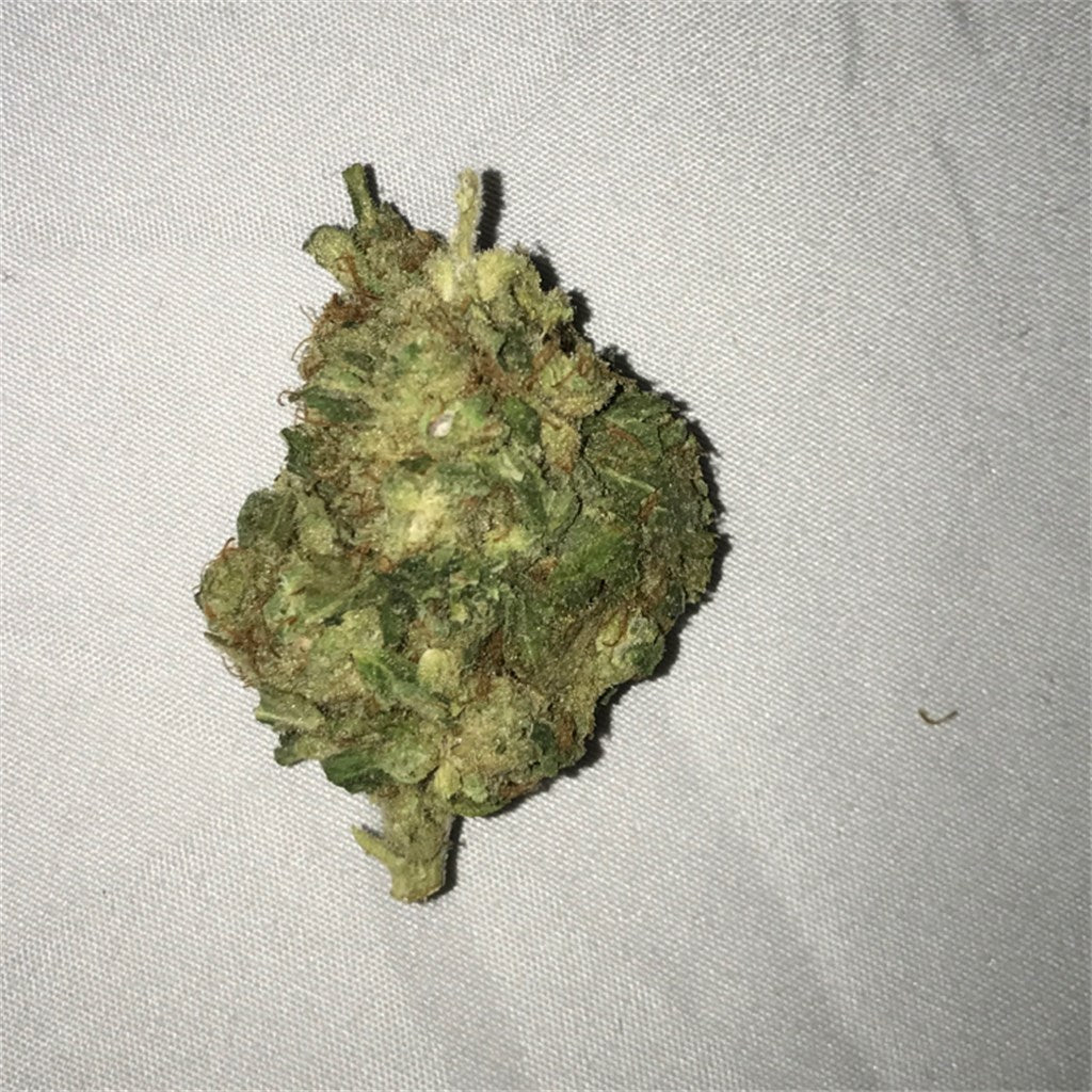 Afghani marijuana strain flower with earthy and woody flavor and sleepy / relaxed effects - Rare Harvest indica