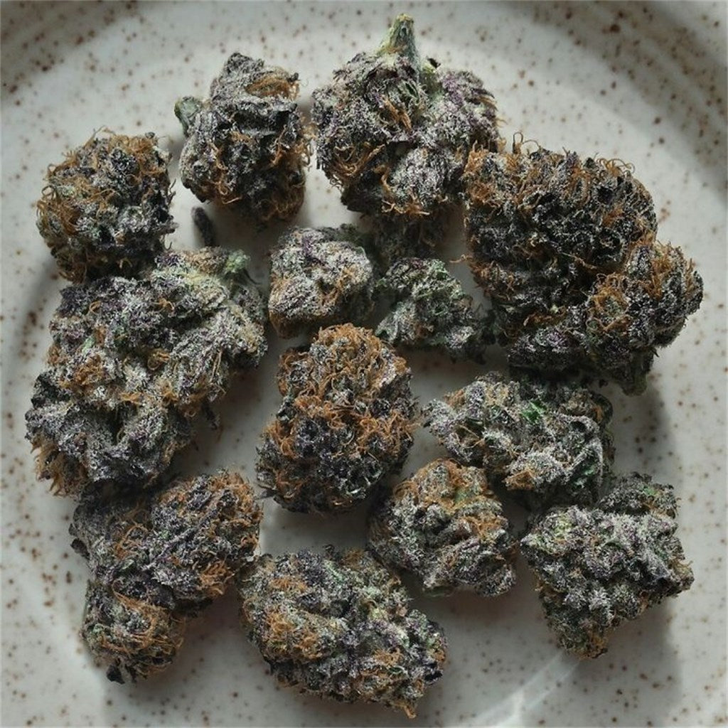 Afpak marijuana strain flower with pine and earthy flavor and creative / happy effects - Rare Harvest hybrid