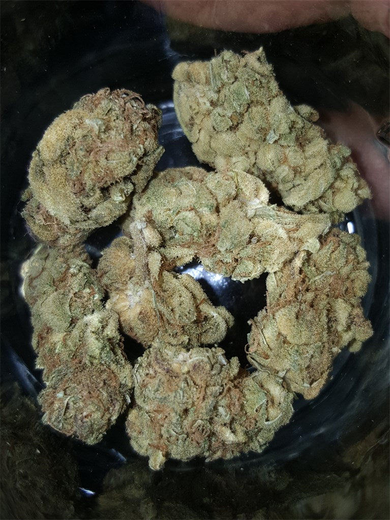 Afternoon Delight marijuana strain flower with pine and apple flavor and tingly / relaxed effects - Rare Harvest hybrid