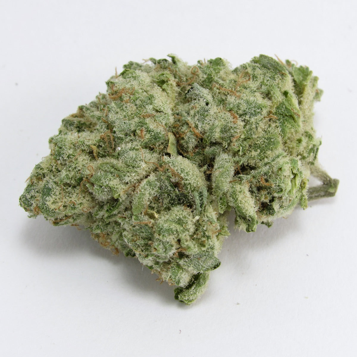Agent X marijuana strain flower with apple and diesel flavor and giggly / creative effects - Rare Harvest hybrid