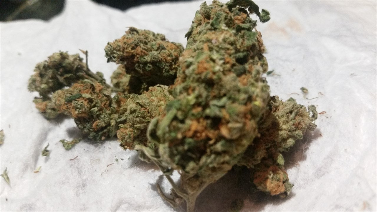 AK-48 marijuana strain flower with citrus and flowery flavor and uplifted / happy effects - Rare Harvest hybrid