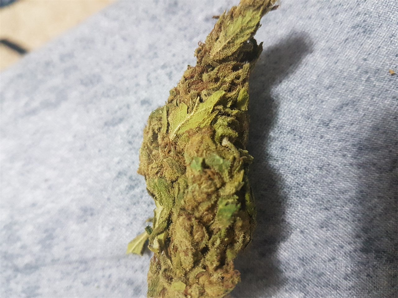 Alaska marijuana strain flower with woody and mint flavor and energetic / focused effects - Rare Harvest sativa