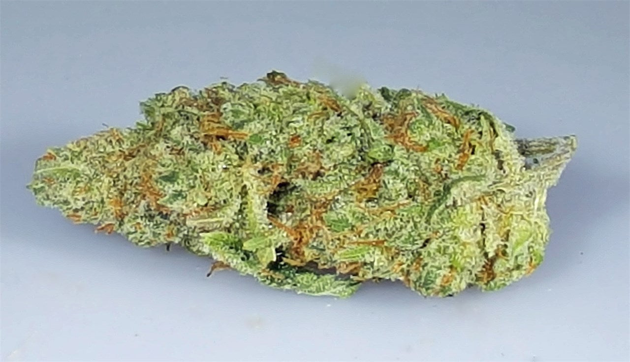 Alaskan Ice marijuana strain flower with nutty and chestnut flavor and euphoric / uplifted effects - Rare Harvest sativa