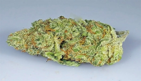 Alaskan Ice Marijuana Strain | Rare Harvest