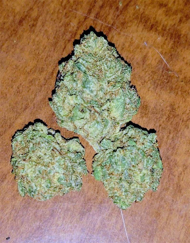 Alaskan Thunder Fuck marijuana strain flower with menthol and sage flavor and energetic / uplifted effects - Rare Harvest hybrid