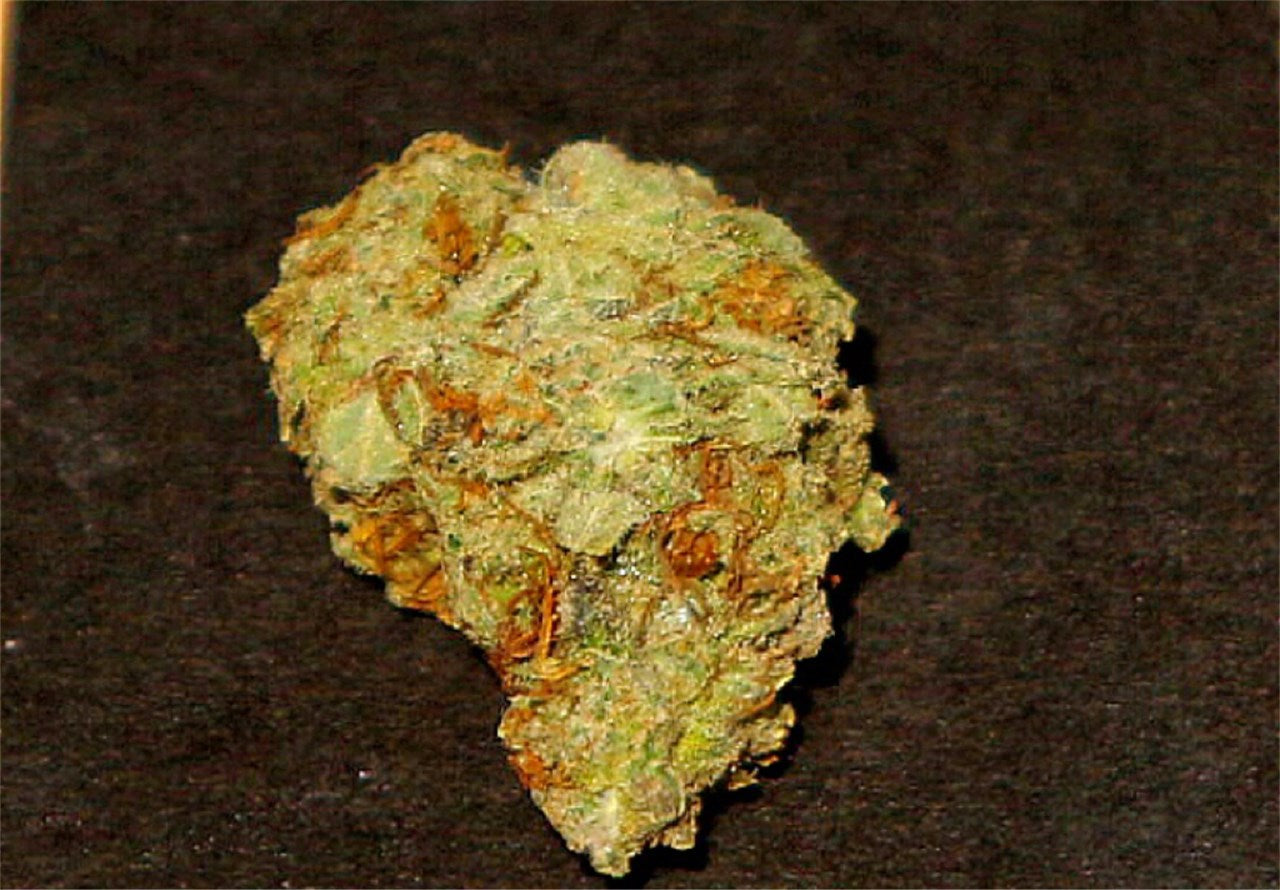 Alice in Wonderland marijuana strain flower with flowery and earthy flavor and focused / creative effects - Rare Harvest sativa