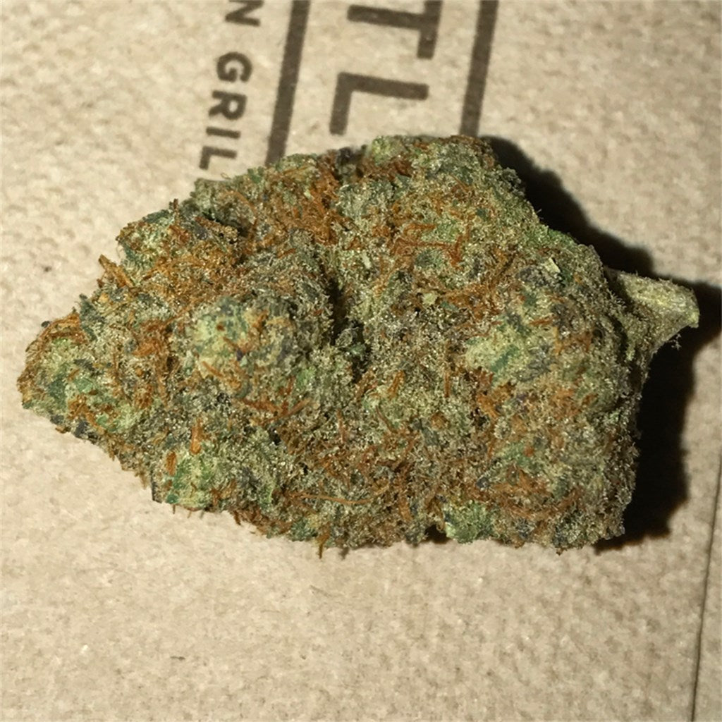 Alien Abduction marijuana strain flower with chestnut and pear flavor and hungry / energetic effects - Rare Harvest hybrid