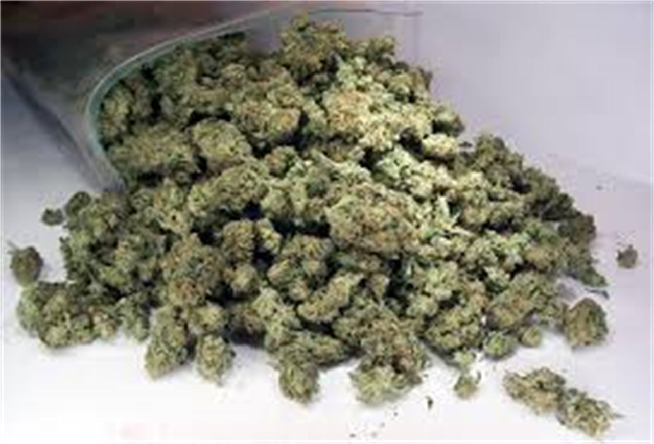 Alien Asshat marijuana strain flower with citrus and pungent flavor and giggly / uplifted effects - Rare Harvest hybrid