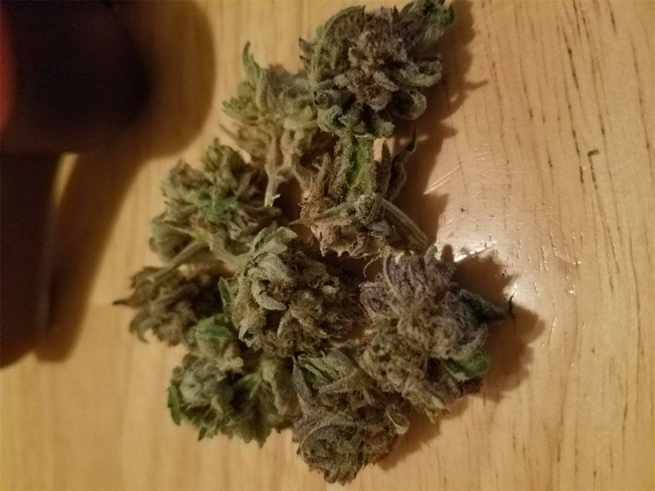 Alien Bubba marijuana strain flower with tea and earthy flavor and relaxed / sleepy effects - Rare Harvest indica