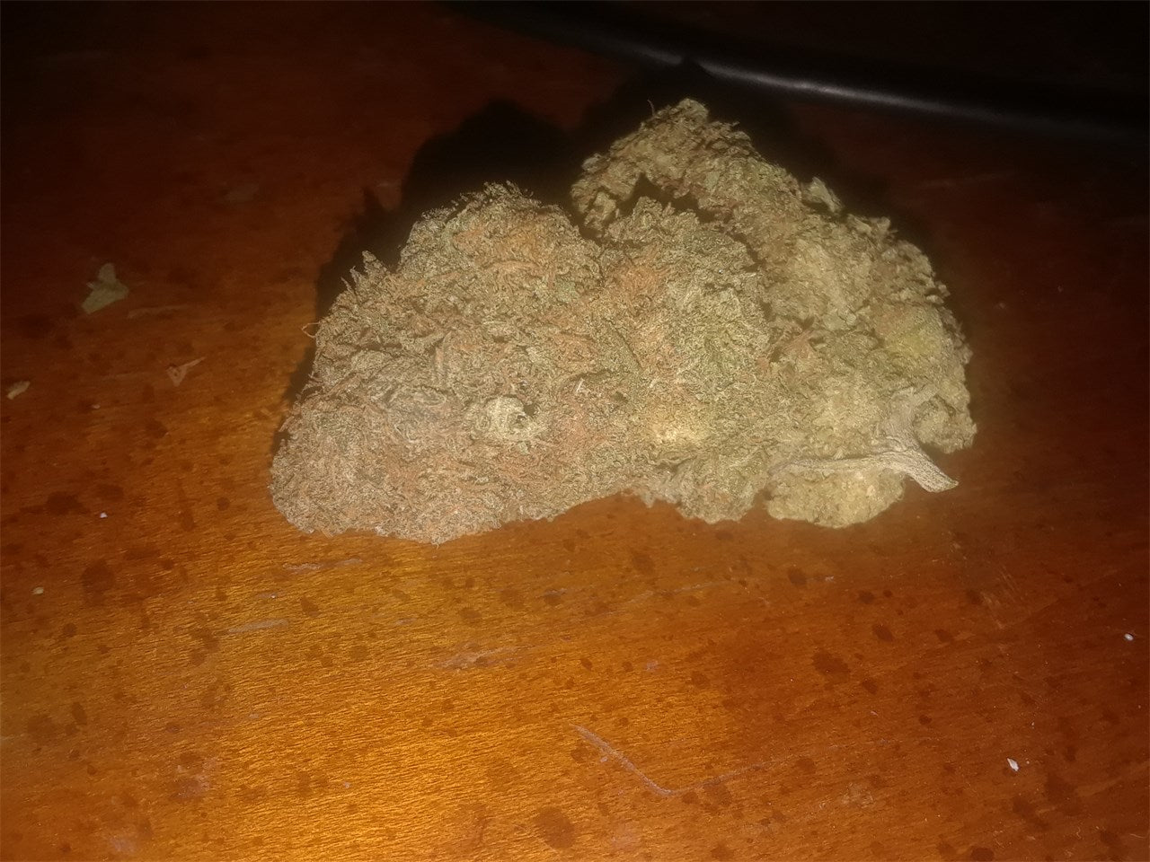 Alien Dawg marijuana strain flower with woody and chemical flavor and sleepy / relaxed effects - Rare Harvest hybrid