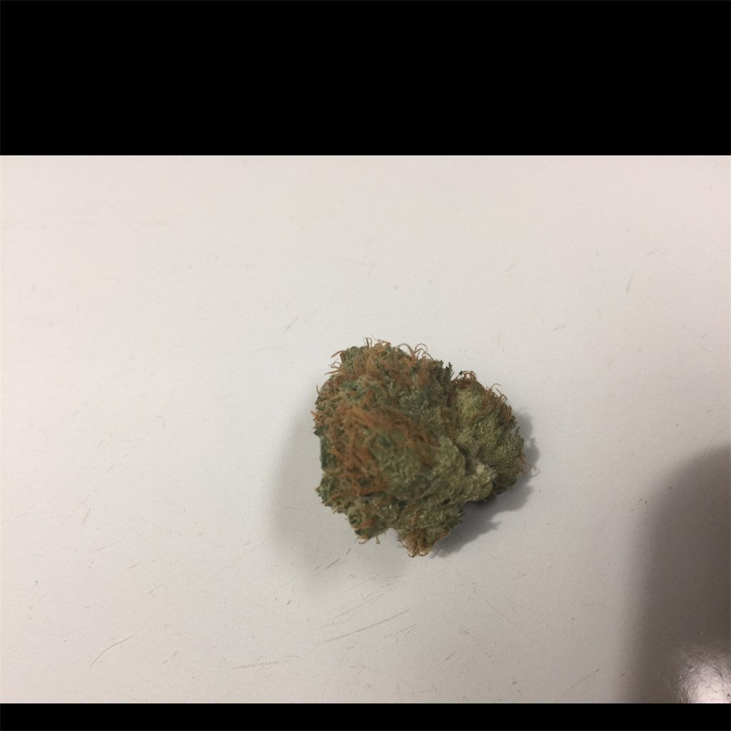 Alien Dutchess marijuana strain flower with blueberry and pineapple flavor and energetic / uplifted effects - Rare Harvest sativa