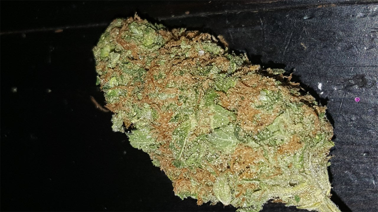Alien Kush marijuana strain flower with tea and woody flavor and tingly / relaxed effects - Rare Harvest indica