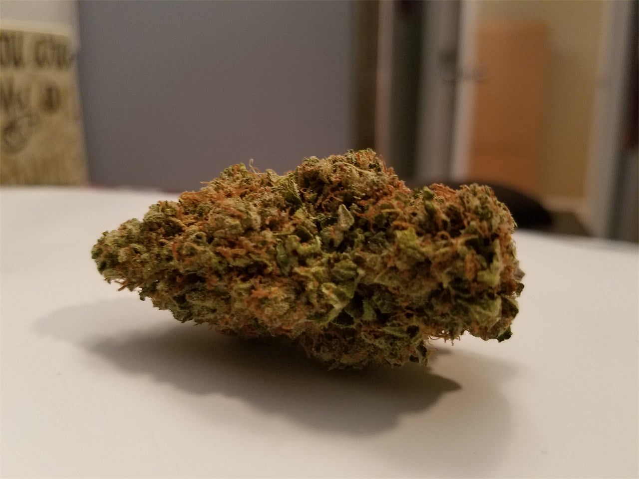 Alien Rock Candy marijuana strain flower with citrus and apricot flavor and relaxed / euphoric effects - Rare Harvest hybrid