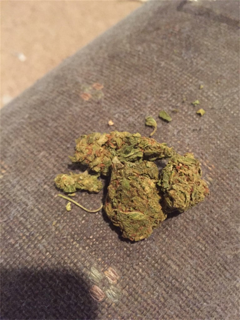Alien Stardawg marijuana strain flower with pineapple and diesel flavor and energetic / creative effects - Rare Harvest sativa
