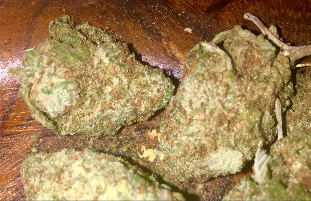 Alien Technology marijuana strain flower with woody and apple flavor and happy / relaxed effects - Rare Harvest indica