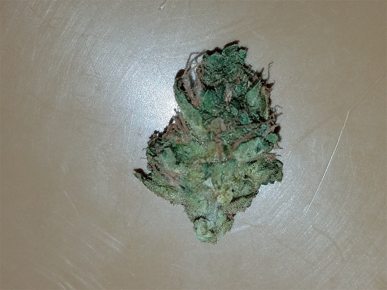 Aliens On Moonshine marijuana strain flower with pine and tea flavor and focused / happy effects - Rare Harvest indica