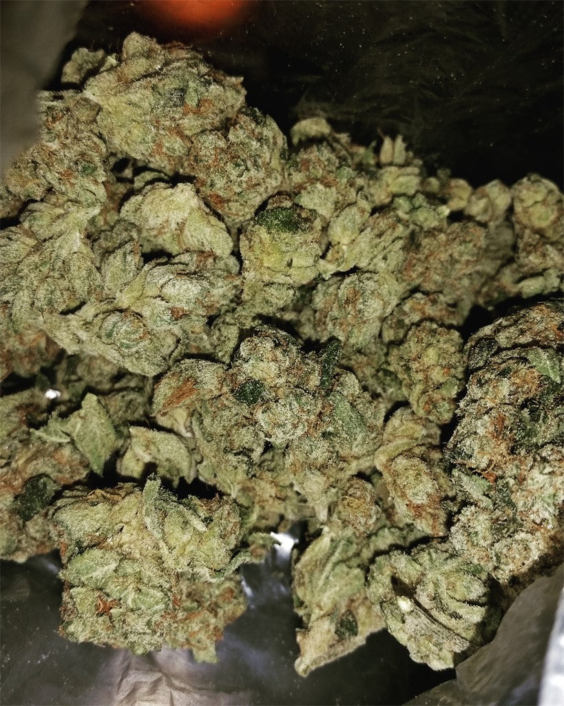 Alpha OG marijuana strain flower with pine and earthy flavor and relaxed / hungry effects - Rare Harvest hybrid