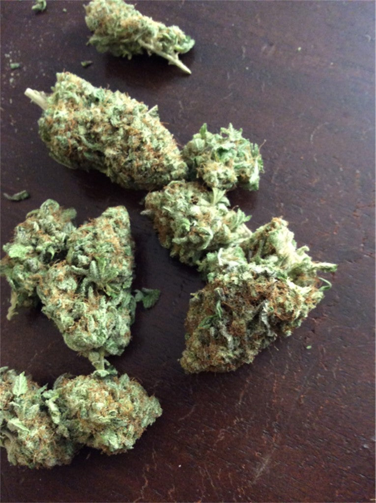 Alpine Star marijuana strain flower with lemon and pine flavor and uplifted / euphoric effects - Rare Harvest indica
