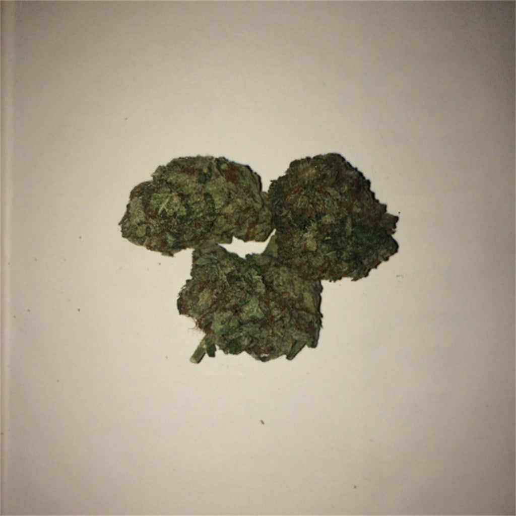 American Kush marijuana strain flower with coffee and lavender flavor and tingly / relaxed effects - Rare Harvest indica