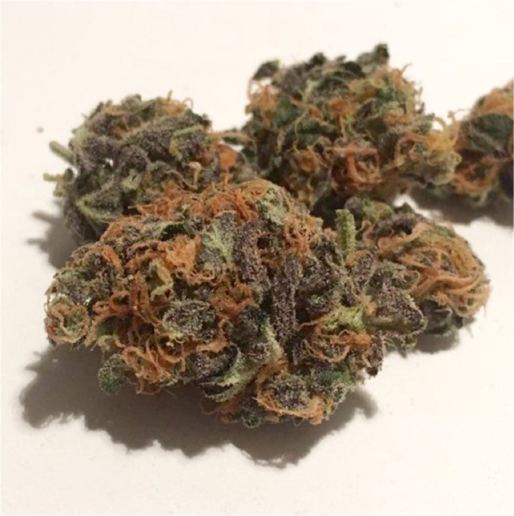 Amnesia Haze marijuana strain flower with citrus and lemon flavor and giggly / euphoric effects - Rare Harvest sativa