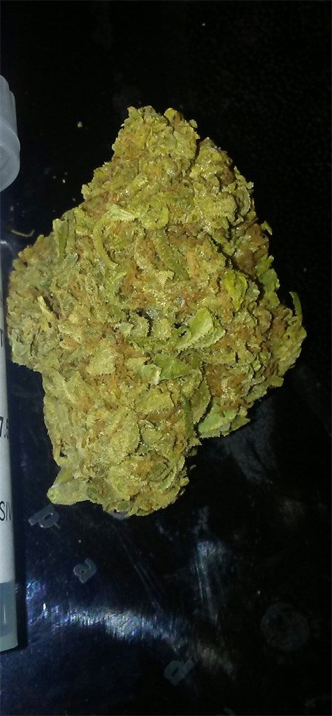 Ancient OG marijuana strain flower with pine and mango flavor and sleepy / relaxed effects - Rare Harvest indica