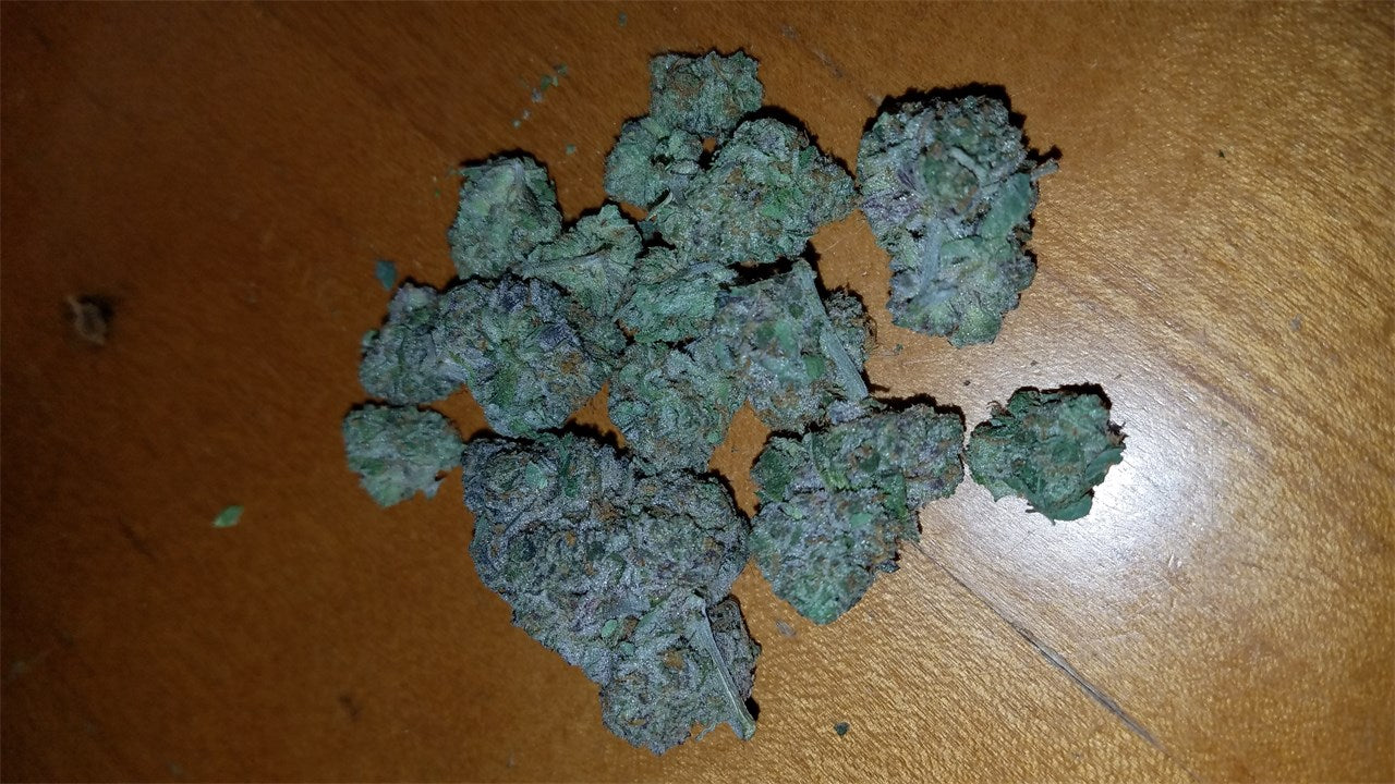 Animal Cookies marijuana strain flower with nutty and earthy flavor and relaxed / tingly effects - Rare Harvest hybrid