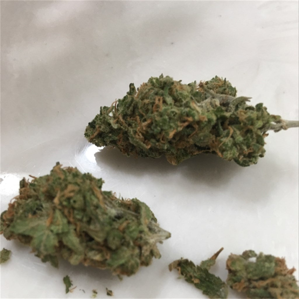 Apollo 13 marijuana strain flower with pepper and tea flavor and aroused / energetic effects - Rare Harvest hybrid