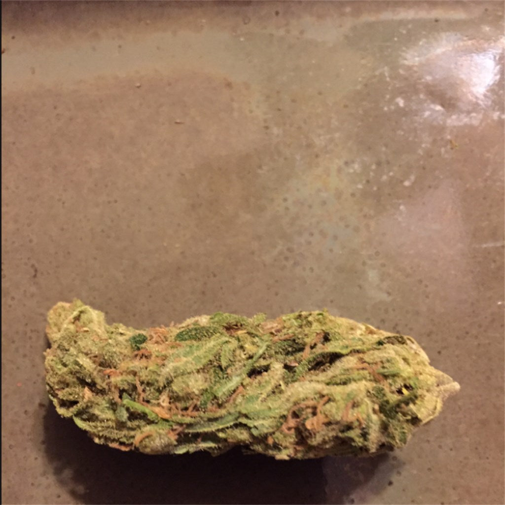 Appalachia marijuana strain flower with skunk and pine flavor and energetic / creative effects - Rare Harvest hybrid