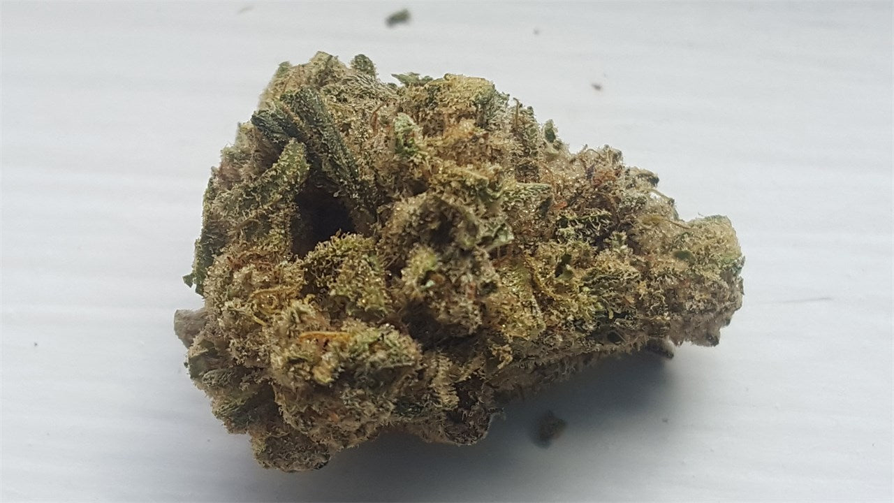 Appalachian Power marijuana strain flower with pineapple and grape flavor and energetic / creative effects - Rare Harvest sativa