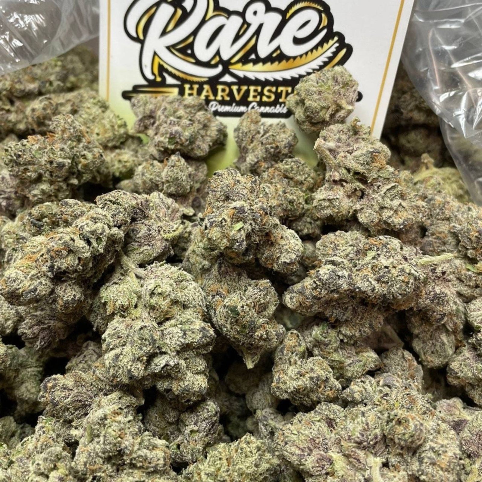 Apple Fritter