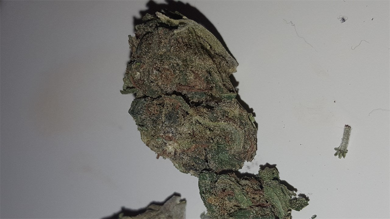 ArcticBlue marijuana strain flower with blueberry and berry flavor and creative / energetic effects - Rare Harvest hybrid