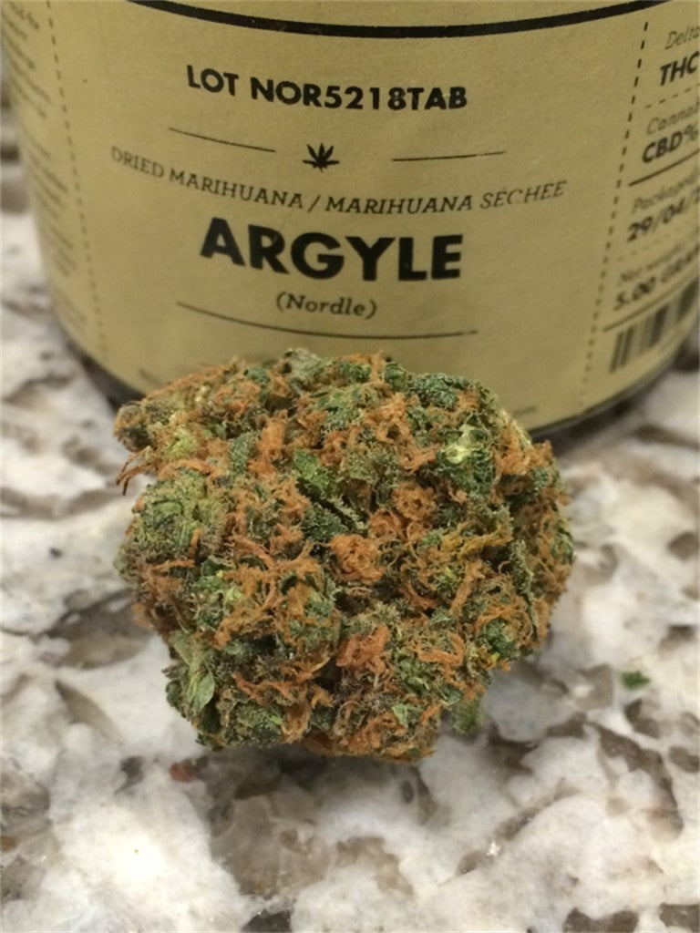 Argyle marijuana strain flower with spicy/herbal and earthy flavor and happy / relaxed effects - Rare Harvest indica