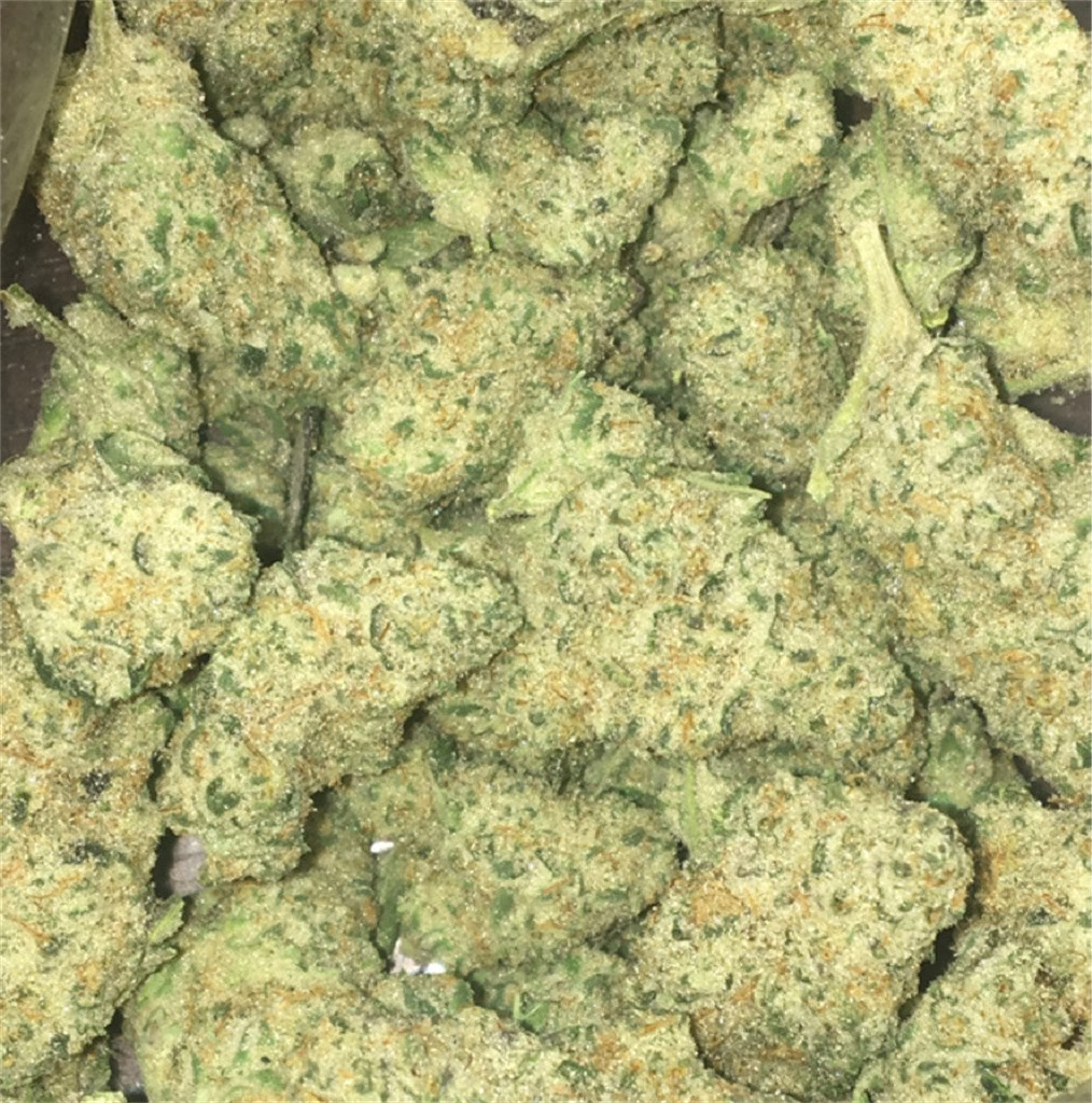 Aspen OG marijuana strain flower with blueberry and cheese flavor and focused / energetic effects - Rare Harvest hybrid